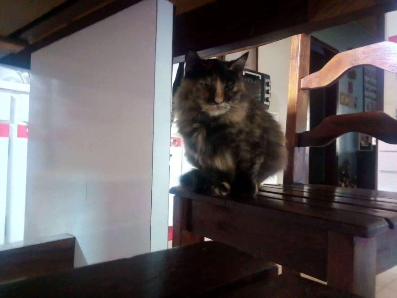 【教练点评】专家对战术布置的深度点评，战术安排