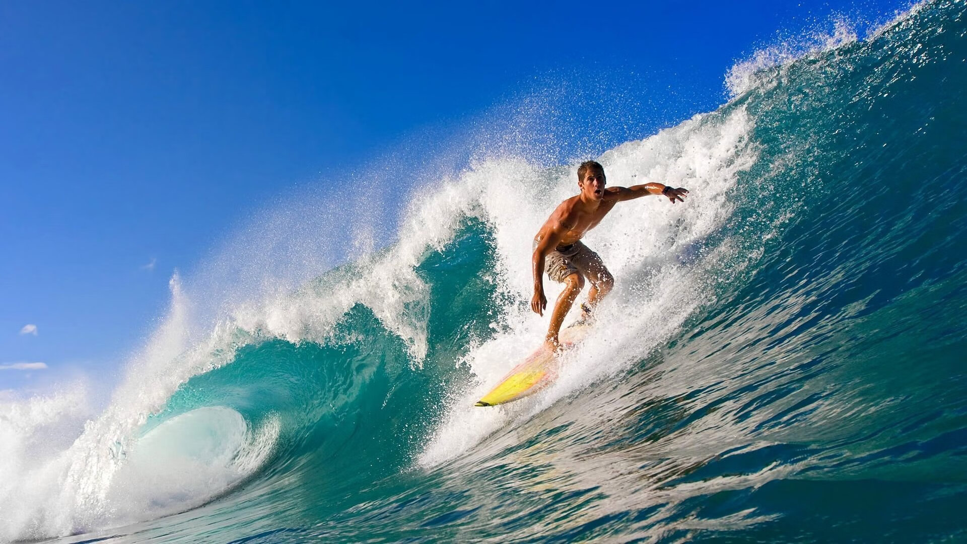 光明记忆“未来战士”年度冠军争夺战正式开启，未来战士百科