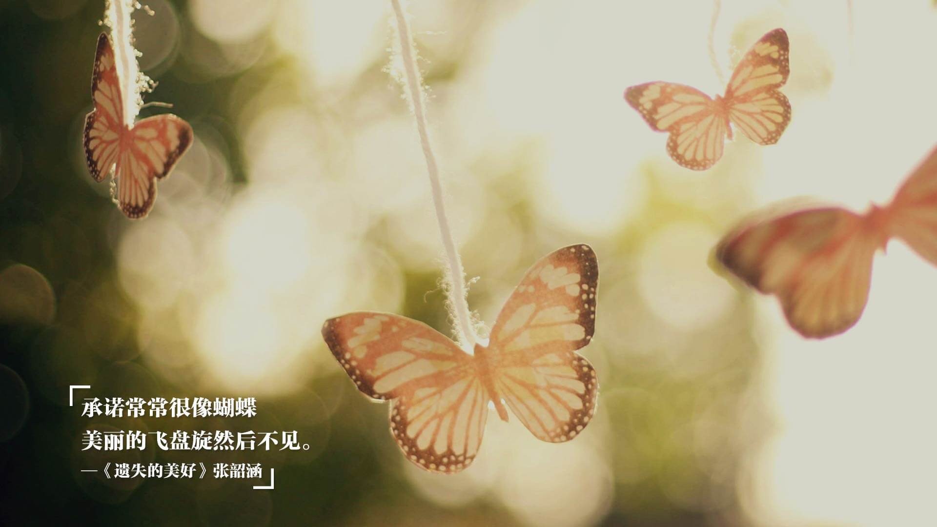 德甲赛场再次上演神奇逆转，德甲ds.