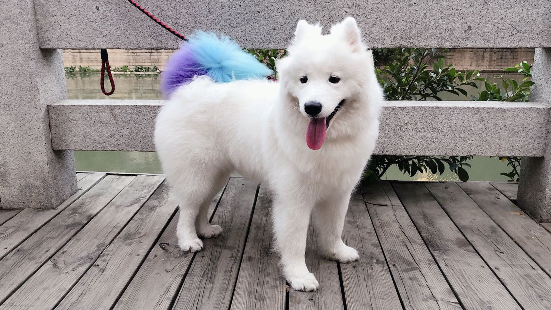 【技巧讲座】奥沙利文的攻防结合练习秘籍，奥沙利文防守集锦